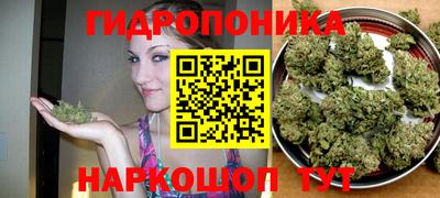каннабис Ачхой-Мартан