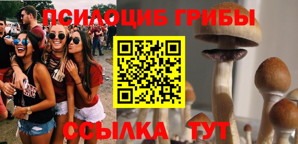 Галлюциногенные грибы MAGIC MUSHROOMS  Галлюциногенные грибы MAGIC MUSHROOMS  Вход с VPN  Сергиев Посад 